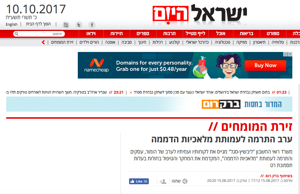 כתבה רואה חשבון ישראל היום